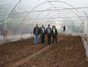 Ardahan'da Seracılık Örtü Altı Sebze Yetiştiriciliği Projesi