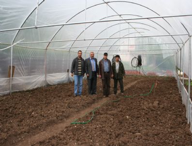 Ardahan'da Seracılık Örtü Altı Sebze Yetiştiriciliği Projesi