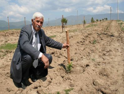 BAHTıLLı - Başkan Ali Bingül, Beldesinin Geleceği İçin Fidan Dikiyor