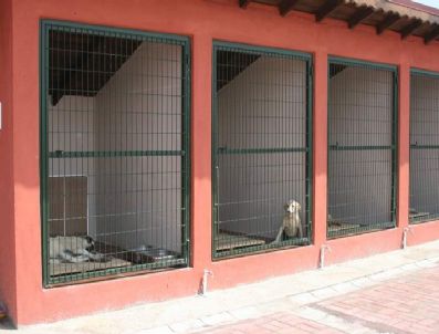 KARAKAMıŞ - Büyükşehir Belediyesi Sokak Hayvanları Bakımevi Hizmete Girdi