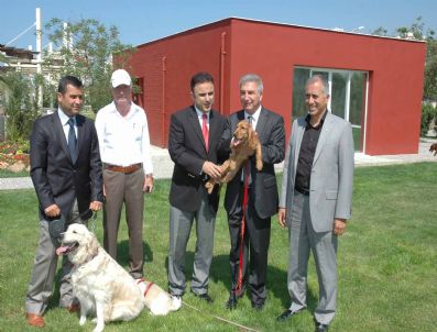 BEKIR COŞKUN - Karşıyaka'da 'Can Dostum Şenliği' Yapılıyor