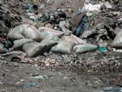 Van'da 21 Bin 150 Kilo Kaçak Avlanmış Balık Ele Geçirildi