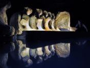 Brıtaın The Deep Exhıbıt Prevıew