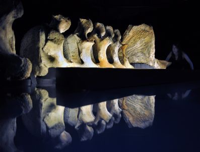 Brıtaın The Deep Exhıbıt Prevıew