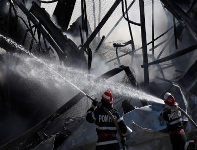 RED DRAGON - Romanıa Fıre