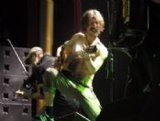 Swıtzerland Musıc Gogol Bordello