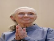 Swıtzerland U.n. Lecture Serıes