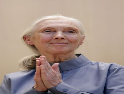 Swıtzerland U.n. Lecture Serıes