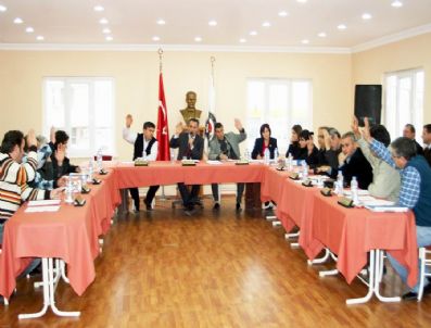 Altınova'da Festival Hazırlığı