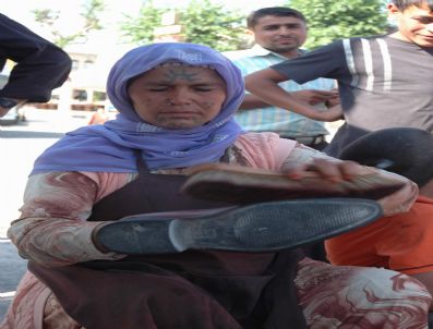 Boyacı Annenin Dramı