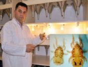 Keşfettiği canlıya 'Türk' ismi koydu