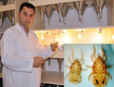 Keşfettiği canlıya 'Türk' ismi koydu