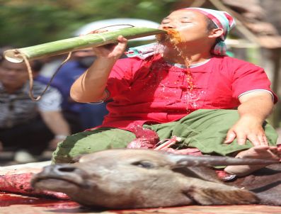 BUFFALO - Thaıland Buffalo Flesh Feast