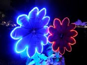 Australıa Vıvıd Festıval