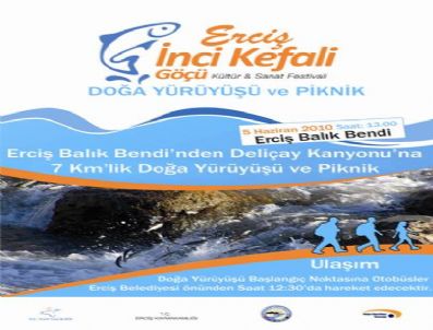 FERHAT KURTOĞLU - Erciş İnci Kefalı Göçü Kültür Ve Sanat Festivali Hazırlıkları