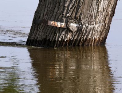 BRANDENBURG - Germany Flood Mark