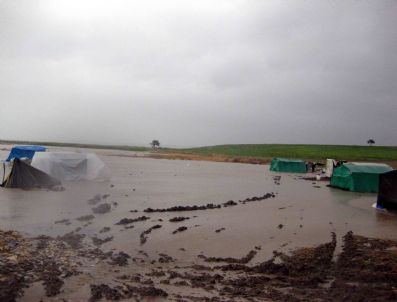 YENIÇIFTLIK - Sel Mağduru Çiftçilere Para Yardımı