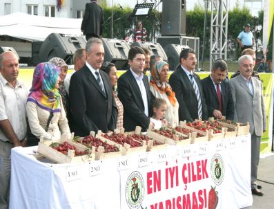 YAŞAR KURT - En İyi Çilek Yarışması Düzenlendi