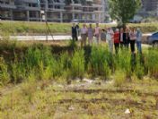 Kuyu Mahkemelik Oldu