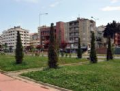 Sahil Yeşile Büründü