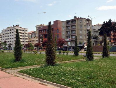 Sahil Yeşile Büründü