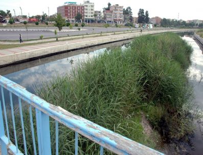 Sarıçay'da 'Saz' Tepkisi
