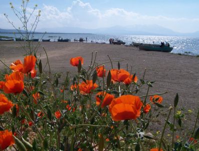 Sular Yükseldi, Plaj Ortadan Kayboldu