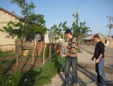 Tırtıl İstilasına Karşı İlaçlama Başlatıldı