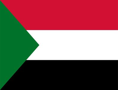 DARFUR - Sudan'da valiler görev yemini etti