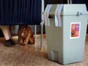 Czech Republıc Electıon