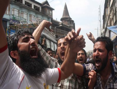 Indıa Kashmır Protest