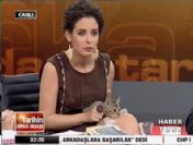 Pelin Batu canlı yayında kedi kovaladı