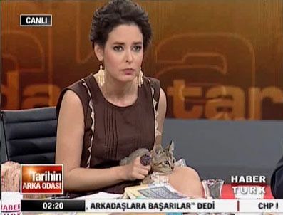 PELİN BATU - Pelin Batu canlı yayında kedi kovaladı