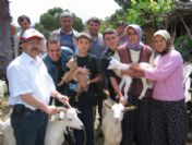 Demir'de Muhtaç Ailelere Süt Keçisi Dağıtıldı