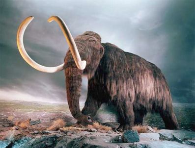 JURASSIC PARK - Jurassic Park gerçek oluyor