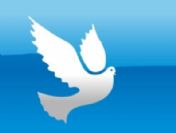 11 Parti Meclisi Üyesi Dsp'den İstifa Etti