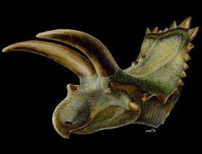 UTAH - Boynuzsurat'ın fosili bulundu