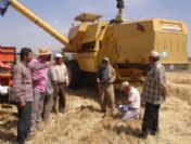 Çiftçiye Hububat Uyarısı