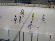 Minikler Buz Hokeyi Başladı