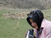 Van Gölü Konulu Filme Ödül