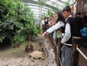 Doğal Yaşam Parkı 'Rekor' Kırıyor