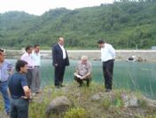 Görele Ve Eynesil İlçelerindeki Balıkçı Barınakları Modernleştirilecek