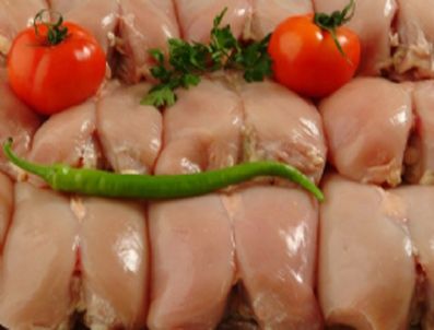 Piknikçileri sevindirecek haber