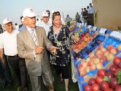 Meyve Bayramı Festival Olma Yolunda