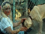 Engelli Hayvanlara Keman Dinletisi