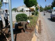 Refüjler Çiçeklerle Bezendi