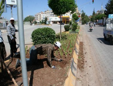 SEMIZOTU - Refüjler Çiçeklerle Bezendi