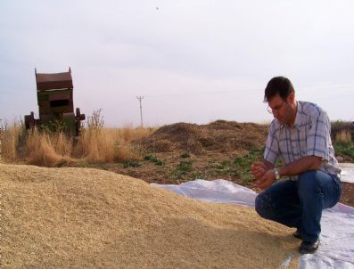 TMO - Hilvan Ziraat Odası Başkanı İpar Çiftçilerin Sorunlarını Anlattı