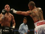 Puerto Rıco Boxıng