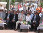 Türk-japon Dostluk Günü Safranbolu'da Kutlandı